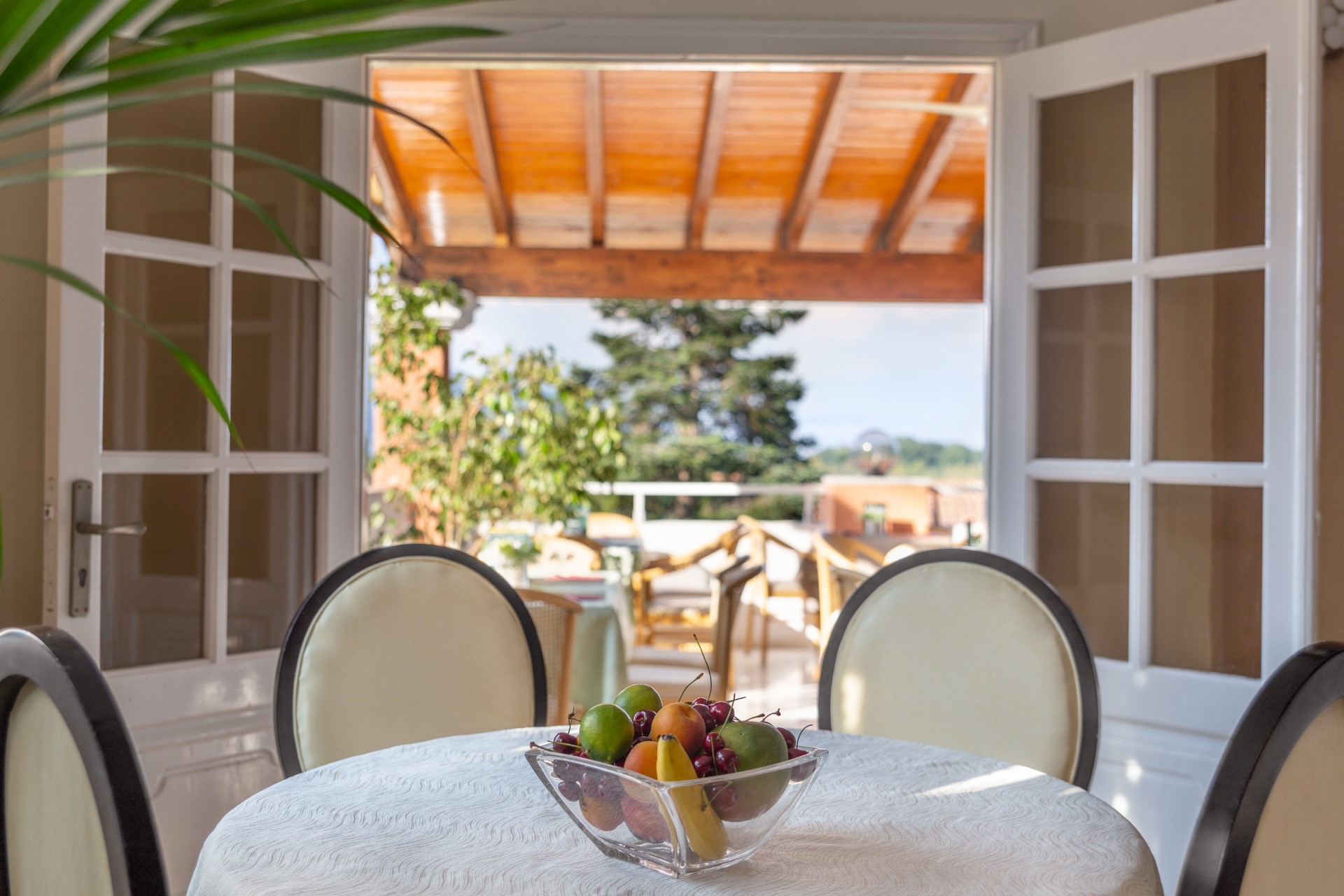 victoria hill hotel in corfu 41